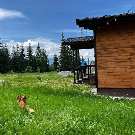 Коттедж Для Отдыха Дискавери Yablunytsya Extérieur photo