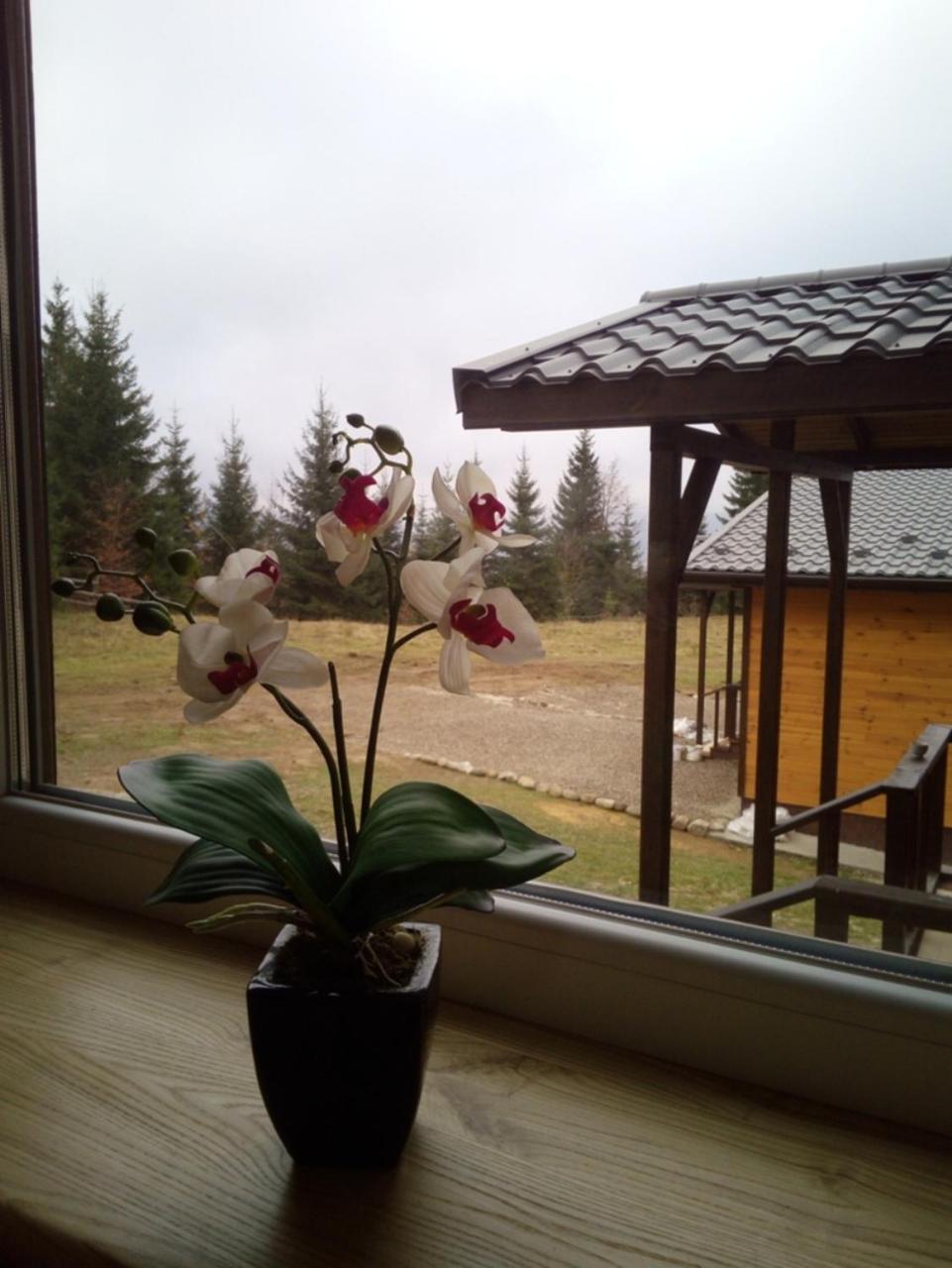 Коттедж Для Отдыха Дискавери Yablunytsya Extérieur photo
