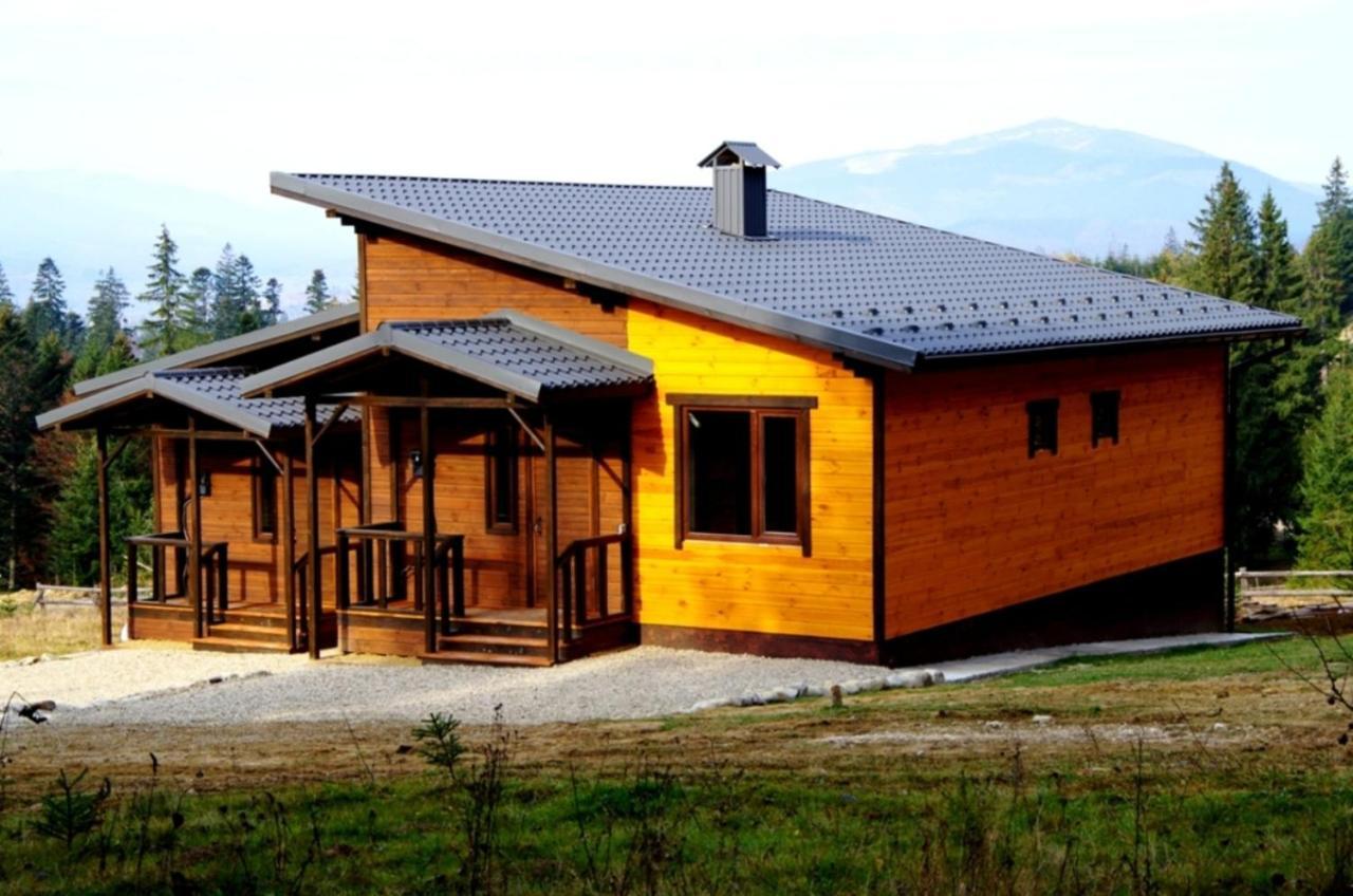 Коттедж Для Отдыха Дискавери Yablunytsya Extérieur photo