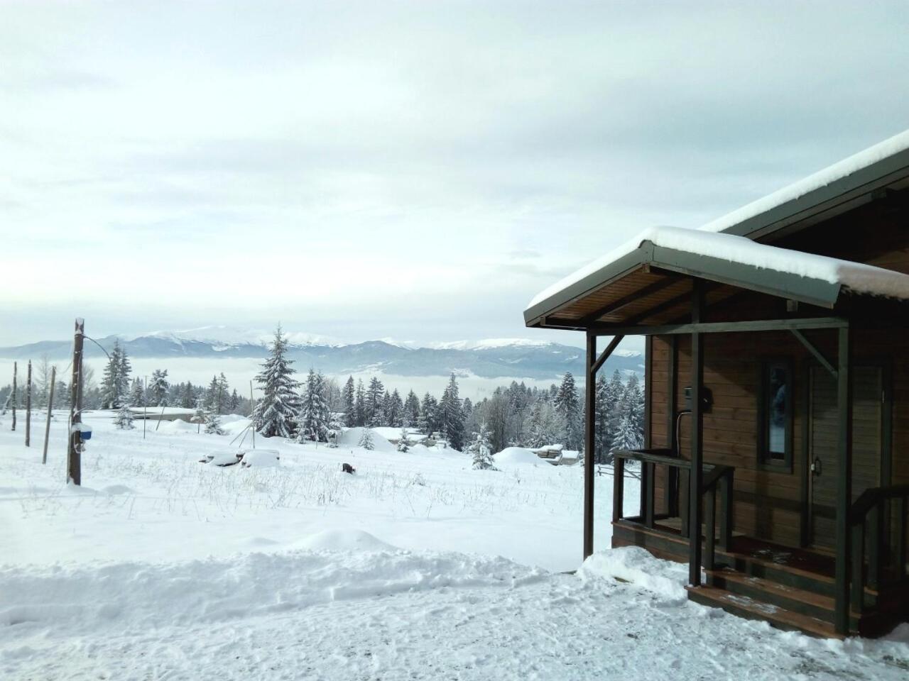 Коттедж Для Отдыха Дискавери Yablunytsya Extérieur photo